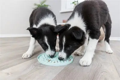 Trixie Junior Likplaat Mintgroen