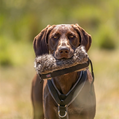 Trixie Snackdummy Kunstvacht