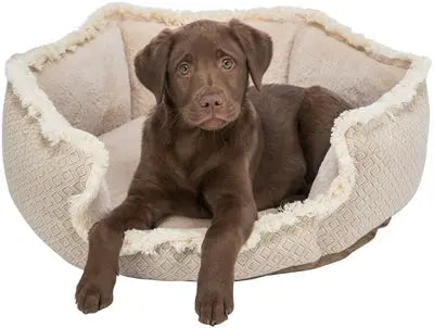 Trixie Hondenmand Boho Hoekig Beige