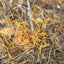 Excellent Kruidenhooi Goudsbloem En Brandnetel