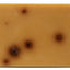 Beloved Clean Pet Shampoo Bar