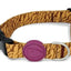 Morso Halsband Hond Gerecycled Jungle Drum Oranje