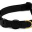 Morso Halsband Hond Gerecycled Gold Caviar Goud