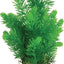 Zolux Ornament Pastic Plant Op Stenen Neutraal Assorti
