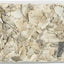 Trixie Piksteen Met Schelpen Mineralen En Mosselen