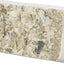 Trixie Piksteen Met Schelpen Mineralen En Mosselen