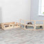 Trixie Indoor Ren Cavia Met 4 Elementen