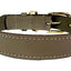 Sazzz Halsband Hond Braveheart Classic Leer Taupe