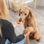 Trixie Denta Fun Twists Van Collageen Met Kip