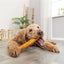 Trixie Denta Fun Roll Van Collageen Met Kip