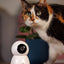 Numaxes Eyenimal Pet Vision Live Hd Camera Zonder Geluid Detectie